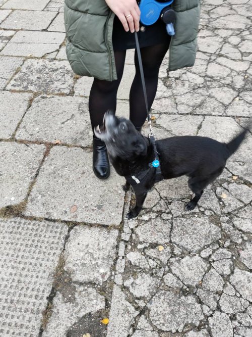 559324824_1224514096372449_4675658148321362263_n