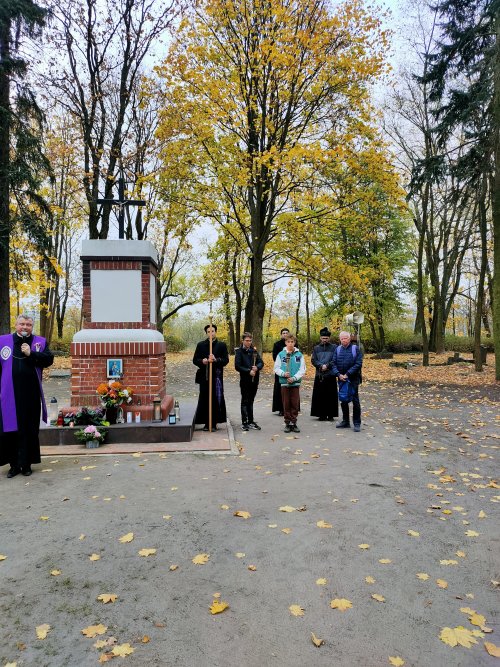 IMG20241101150646
