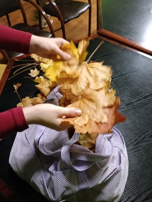 570162334_1240424861448039_7945812923044913228_n